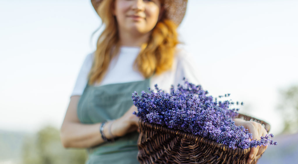 The Benefits of Lavender Essential Oil for Your Skin and Wellbeing